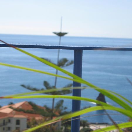 Acqua Marina Apartment Funchal  Ngoại thất bức ảnh